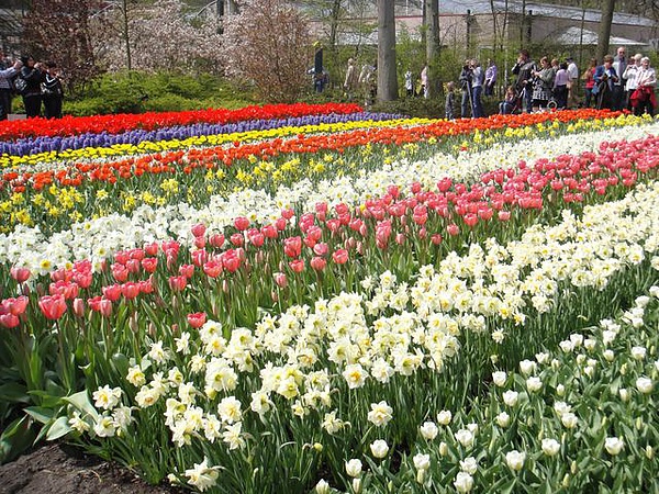 DSC01689.JPG DSC01689.JPG