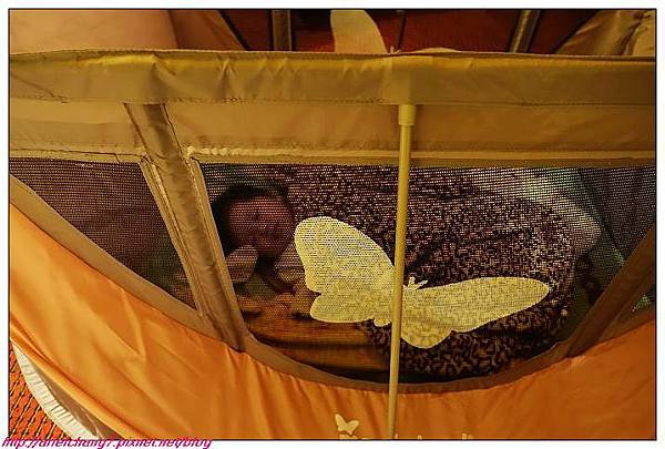 DSC00581_nEO_IMG_nEO_IMG