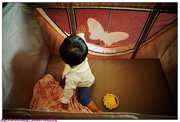 DSC00598_nEO_IMG_nEO_IMG