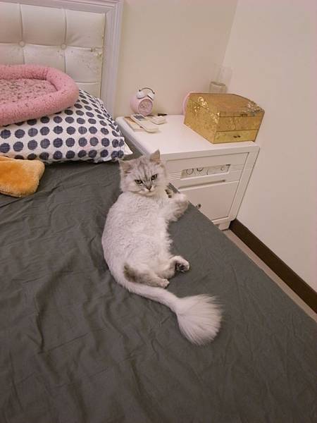 跟老大一起睡的卡妞 跟老大一起睡的卡妞