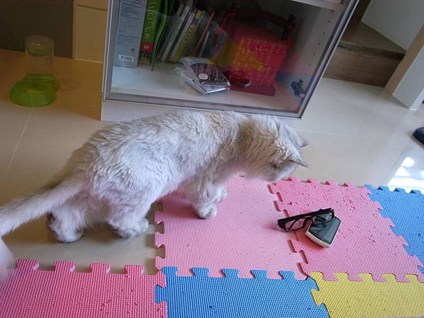 妹想進房間,看到老大眼鏡很緊張 妹想進房間,看到老大眼鏡很緊張