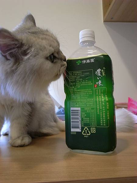 拿冰飲料給他舔 拿冰飲料給他舔