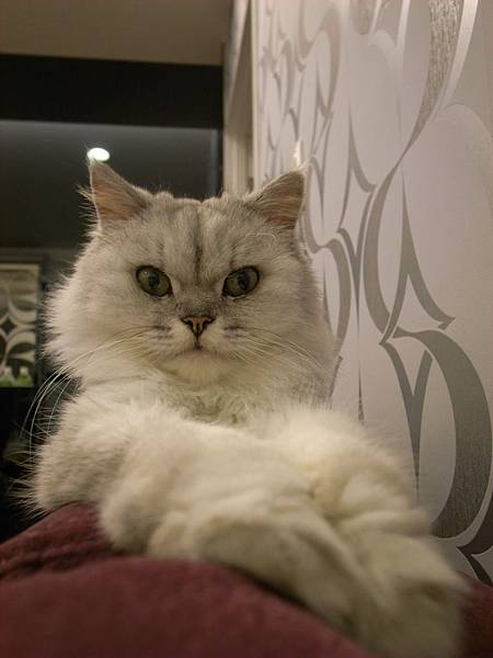 美女卡妞 美女卡妞