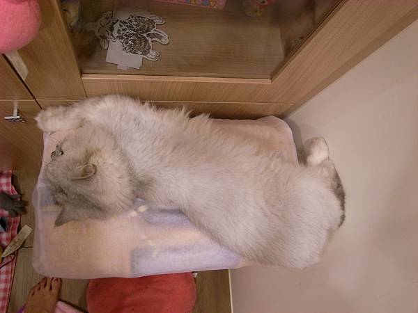 腳還抵著牆壁是吧 腳還抵著牆壁是吧