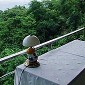 DSCF0635 (大型).JPG