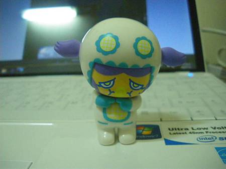 IMGP1491.jpg