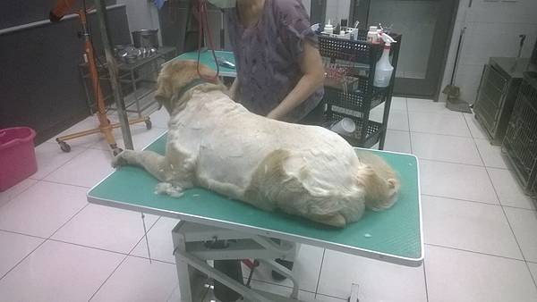 10157137_235319906676686_6448909850515113277_n