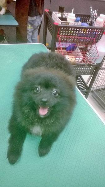 1017759_233461520195858_3995439323599878014_n