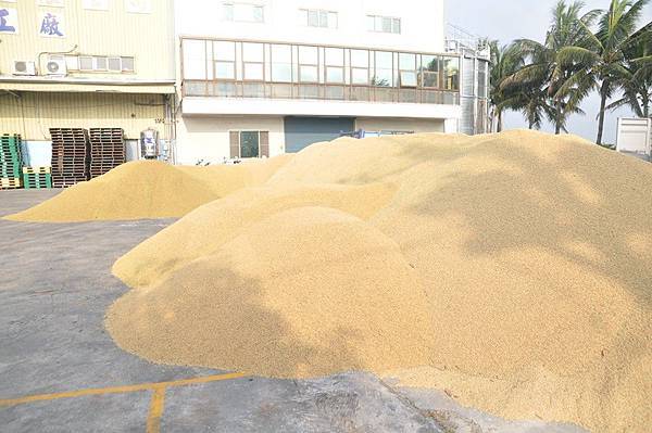 10471184_799708593380421_123324016889165462_n