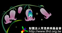 罕病基金會.jpg 罕病基金會.jpg