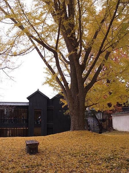 1811245116 1811245116