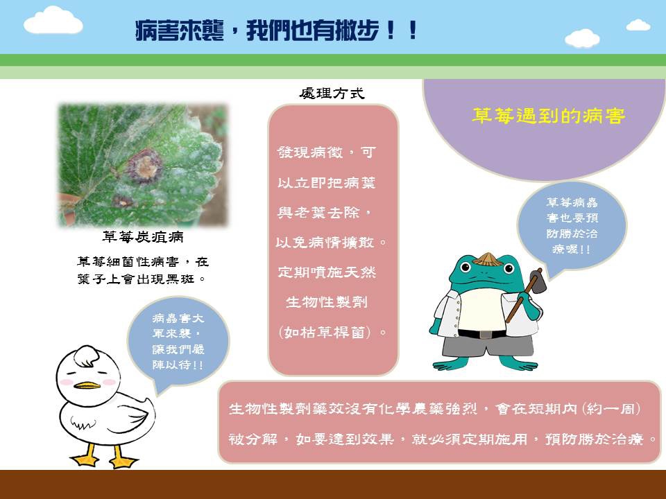 投影片3 投影片3