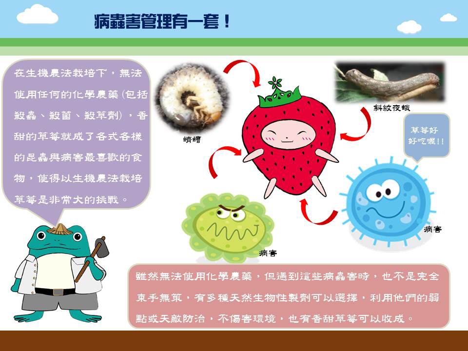 投影片2 投影片2
