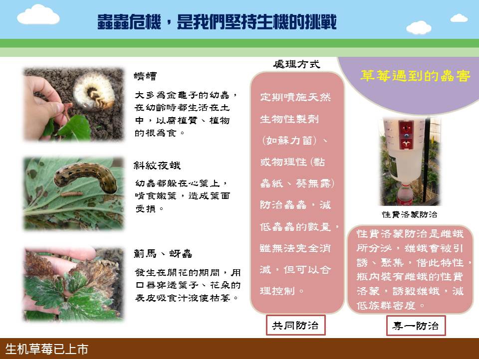 投影片4 投影片4