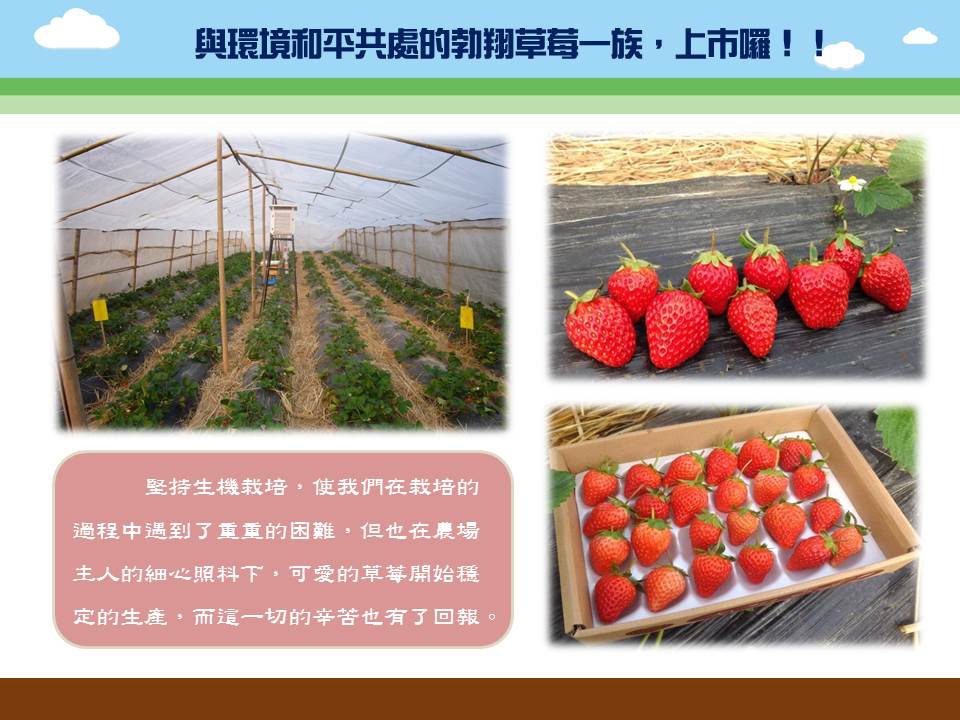 投影片5 投影片5