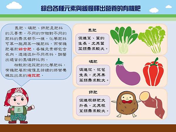 投影片3 投影片3
