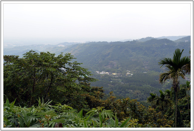〈雲林古坑〉微風山林景觀餐廳 〈雲林古坑〉微風山林景觀餐廳