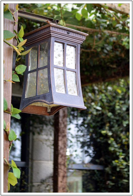 〈雲林古坑〉微風山林景觀餐廳 〈雲林古坑〉微風山林景觀餐廳