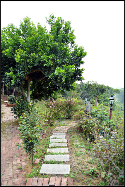 〈嘉義〉清豐濤月景觀餐廳 〈嘉義〉清豐濤月景觀餐廳