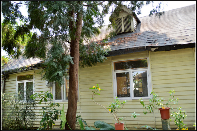 〈南投埔里〉森心日春 〈南投埔里〉森心日春