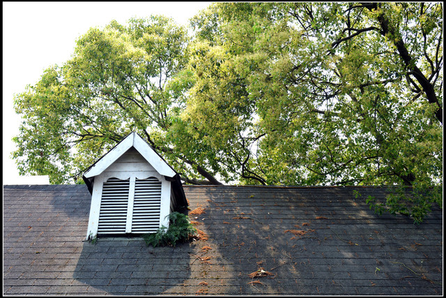 〈南投埔里〉森心日春 〈南投埔里〉森心日春