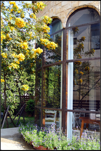 富林洋菓子 富林洋菓子