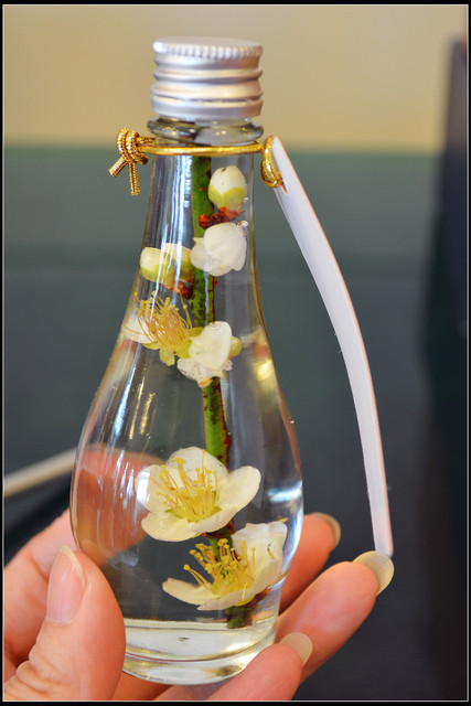 〈台中新社〉梅林親水岸 〈台中新社〉梅林親水岸