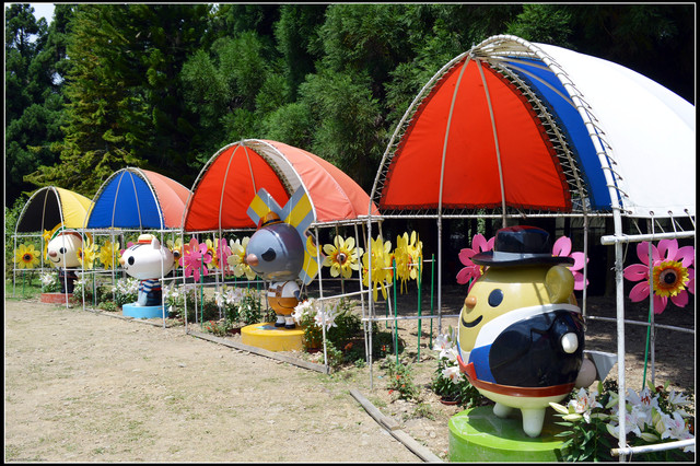 清境小瑞士花園&紙箱王用餐 清境小瑞士花園&紙箱王用餐