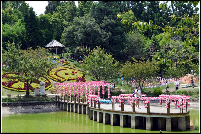 清境小瑞士花園&紙箱王用餐 清境小瑞士花園&紙箱王用餐