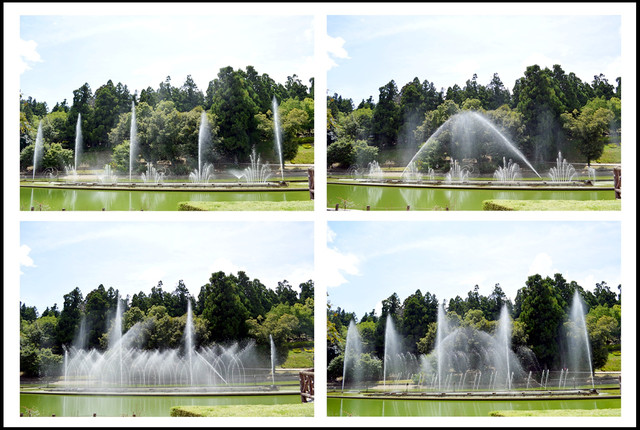 清境小瑞士花園&紙箱王用餐 清境小瑞士花園&紙箱王用餐