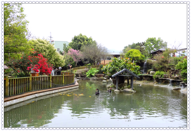 苗栗大湖~巧克力雲莊//景觀餐廳 苗栗大湖~巧克力雲莊//景觀餐廳