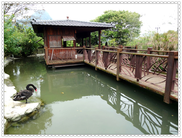 苗栗大湖~巧克力雲莊//景觀餐廳 苗栗大湖~巧克力雲莊//景觀餐廳