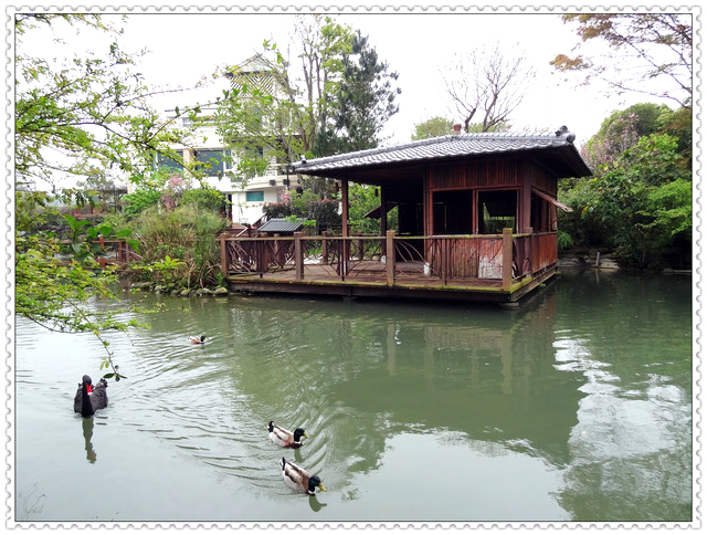苗栗大湖~巧克力雲莊//景觀餐廳 苗栗大湖~巧克力雲莊//景觀餐廳