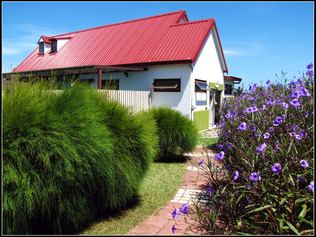 苗栗通霄~100號牧場 苗栗通霄~100號牧場