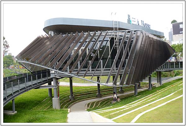 〈台中秋紅谷〉幸福小水舞 〈台中秋紅谷〉幸福小水舞