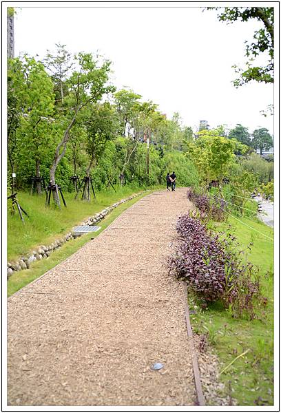 〈台中秋紅谷〉幸福小水舞 〈台中秋紅谷〉幸福小水舞