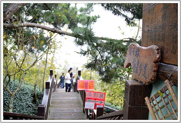 銀杏森林&武岫農園 銀杏森林&武岫農園