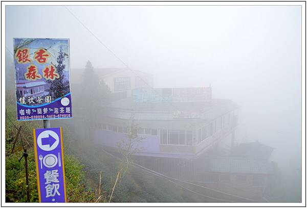 銀杏森林&武岫農園 銀杏森林&武岫農園
