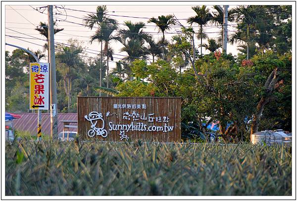 〈南投〉二訪微熱山丘 〈南投〉二訪微熱山丘