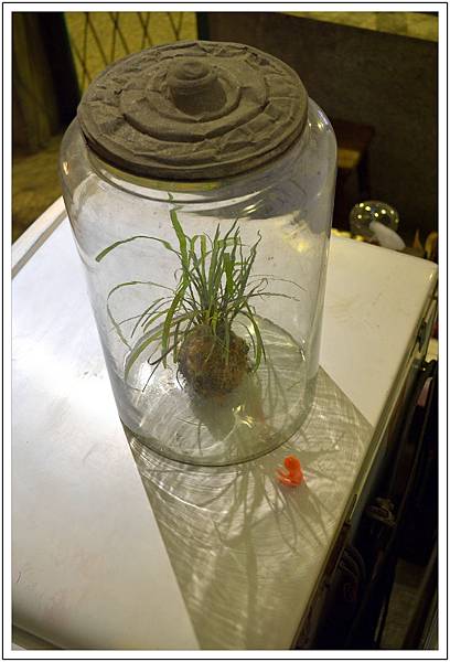 端倪生活~霜淇淋‧藝廊 端倪生活~霜淇淋‧藝廊