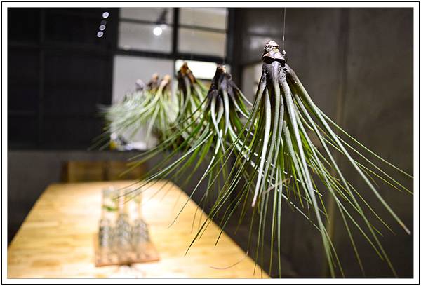 端倪生活~霜淇淋‧藝廊 端倪生活~霜淇淋‧藝廊