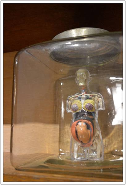 端倪生活~霜淇淋‧藝廊 端倪生活~霜淇淋‧藝廊