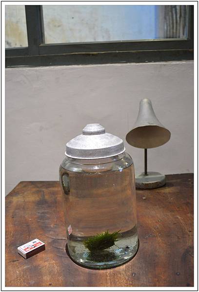 端倪生活~霜淇淋‧藝廊 端倪生活~霜淇淋‧藝廊