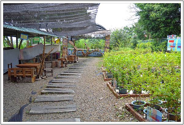 〈彰化芬園〉就是愛荔枝樂園 〈彰化芬園〉就是愛荔枝樂園