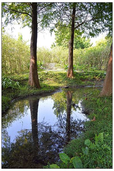 菁芳園~平日用餐 菁芳園~平日用餐