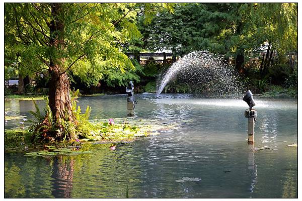 菁芳園~平日用餐 菁芳園~平日用餐
