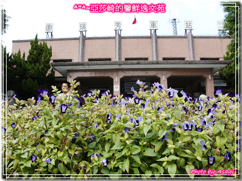 台灣好行|黃金福隆線|亞莎崎東北角驚嘆山水P09