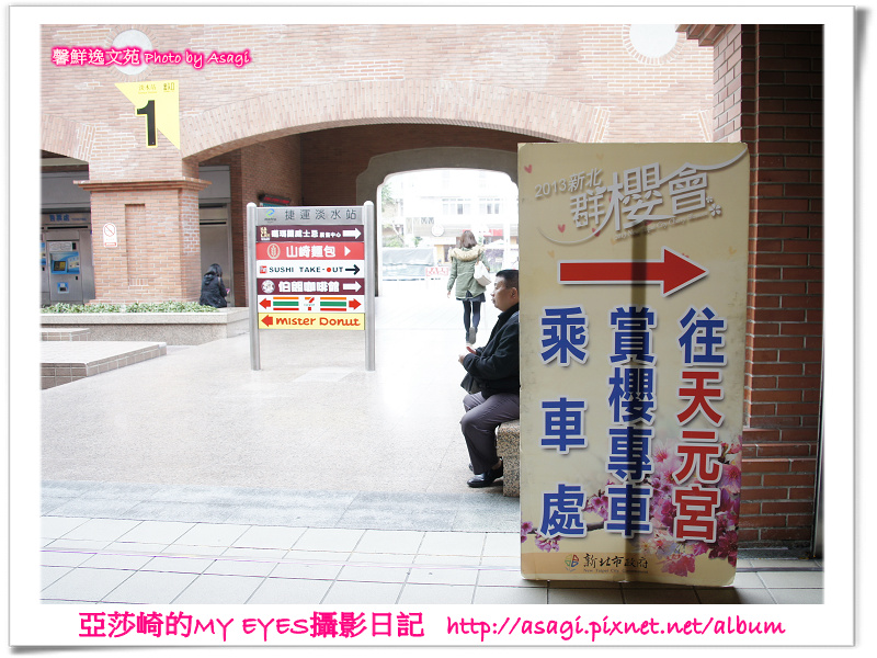 新北市天元宮賞櫻即時花況|亞莎崎的2013年北台灣追花記事簿 新北市天元宮賞櫻即時花況|亞莎崎的2013年北台灣追花記事簿