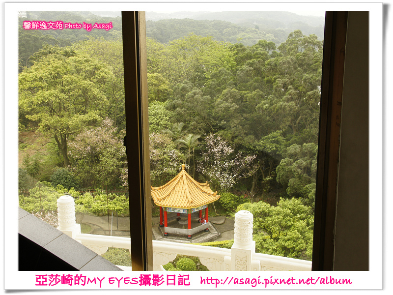 新北市天元宮賞櫻即時花況|亞莎崎的2013年北台灣追花記事簿 新北市天元宮賞櫻即時花況|亞莎崎的2013年北台灣追花記事簿