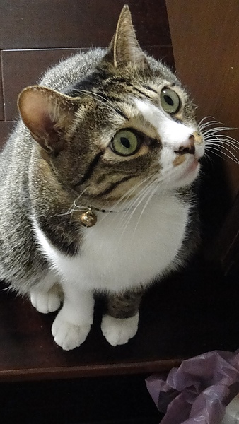 DSC00775.JPG DSC00775.JPG